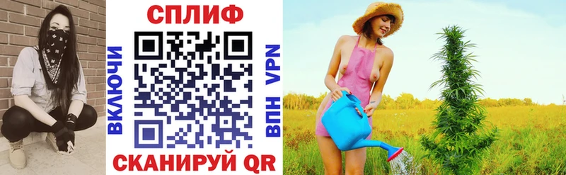 МЕФ Каргополь