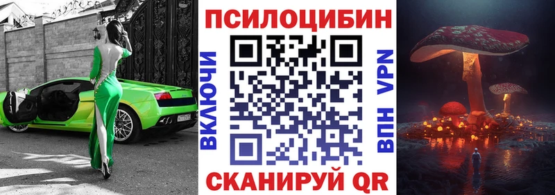 KRAKEN вход  цены наркотик  Каргополь  Псилоцибиновые грибы прущие грибы 